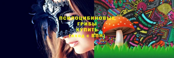 прущая мука Горно-Алтайск