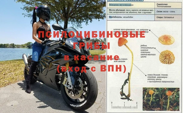 прущая мука Горно-Алтайск