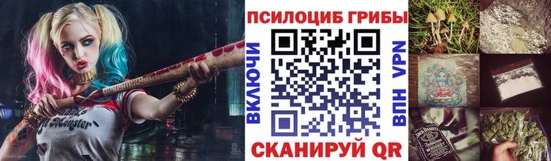 Галлюциногенные грибы прущие грибы Горно-Алтайск