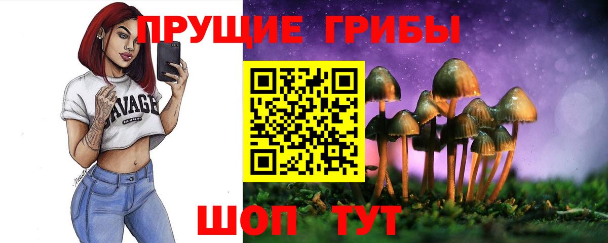 Галлюциногенные грибы MAGIC MUSHROOMS  Горно-Алтайск 