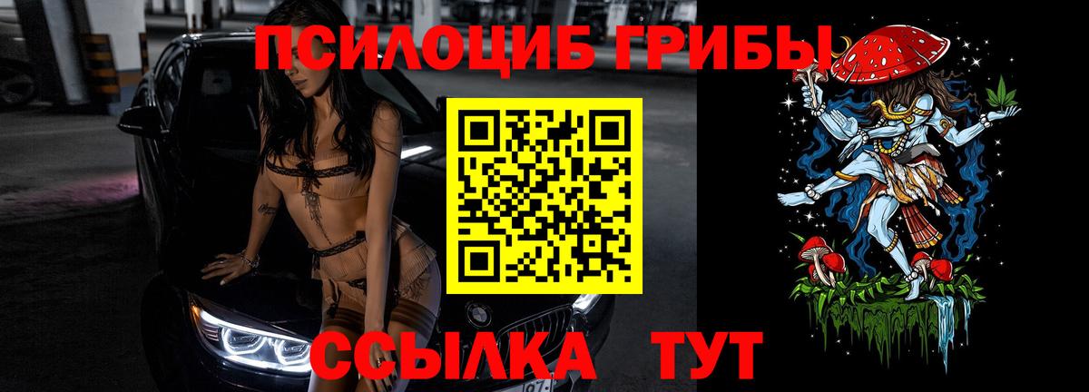 Псилоцибиновые грибы ЛСД  Вход с VPN  Галлюциногенные грибы Psilocybe  Горно-Алтайск 
