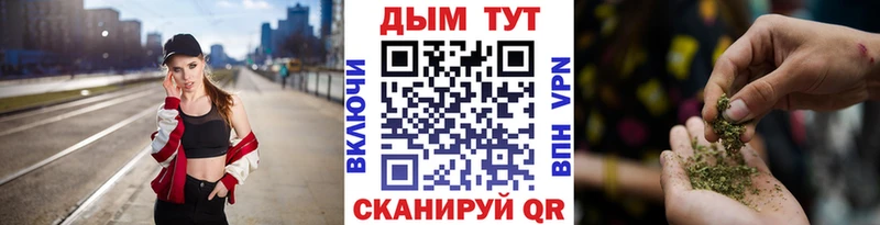где можно купить наркотик  Горно-Алтайск  Конопля тримм 
